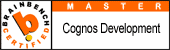 cognosdevelopment.gif (1862 bytes)